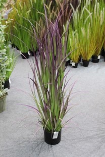 5aaf6406367e2.jpg